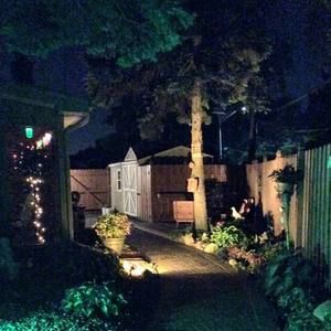 Meet your Posher, Lynne